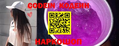 apvp Кингисепп