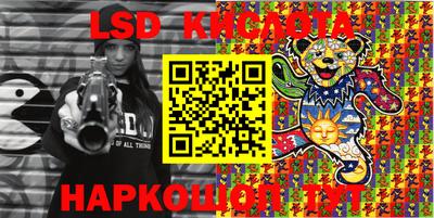 apvp Кингисепп