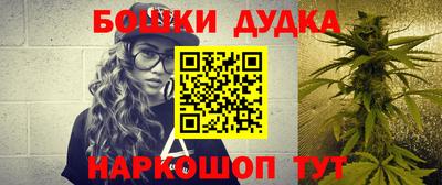 apvp Кингисепп