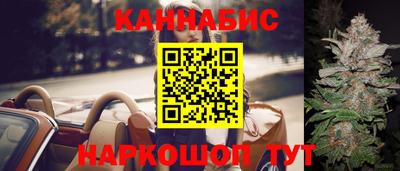 apvp Кингисепп