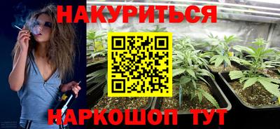 apvp Кингисепп