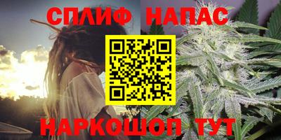 амф Кимры