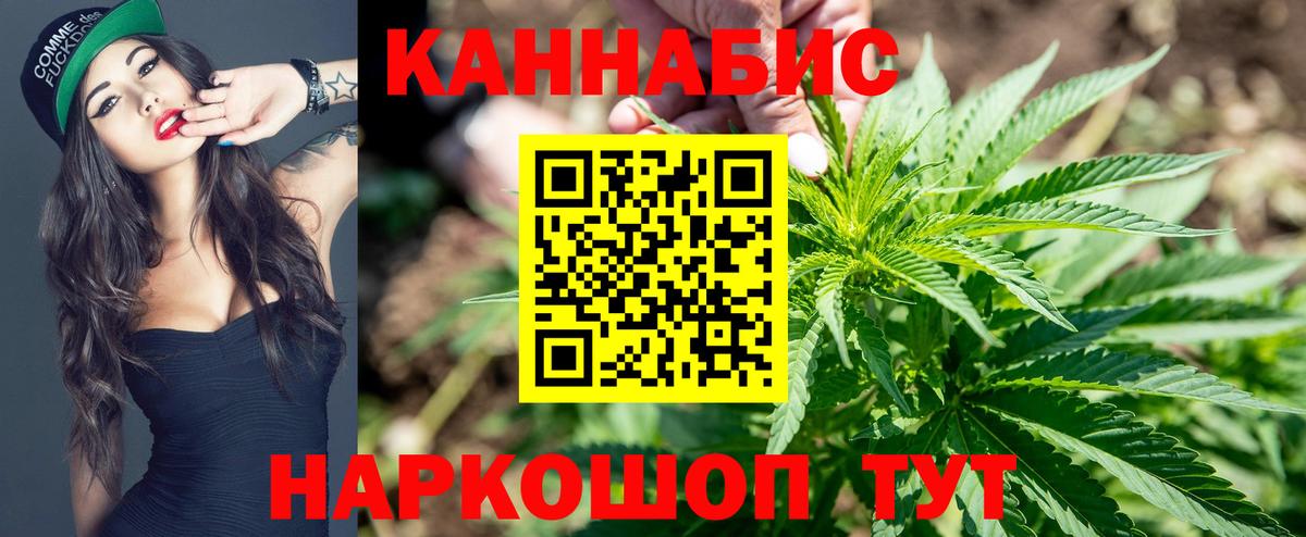Канабис SATIVA & INDICA Искитим